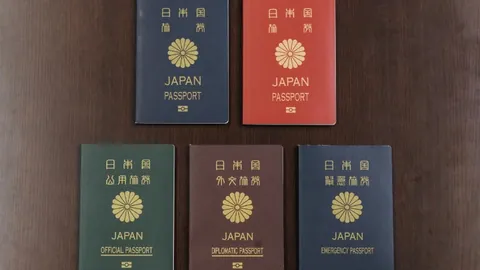 大乐透期号专家推荐：美职男篮多伦多主场战马刺分析